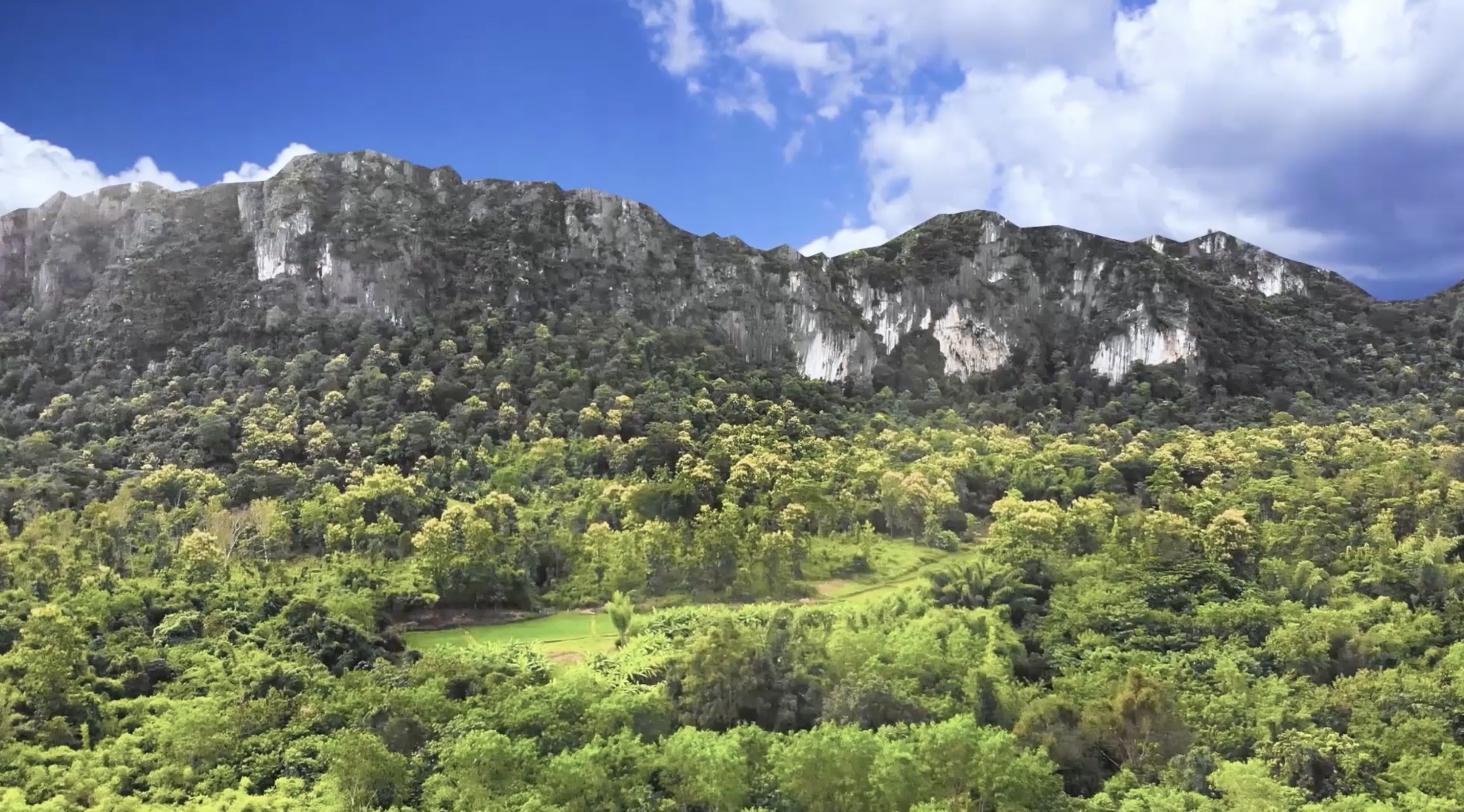 Environment / Landscape — Live Footage · Environment